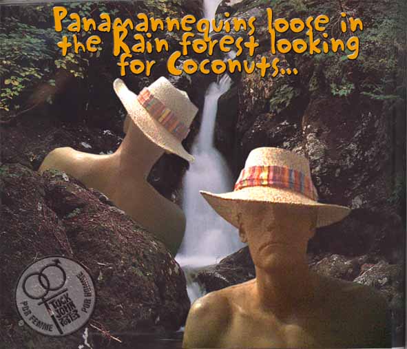 Panama Straw Hat_Large